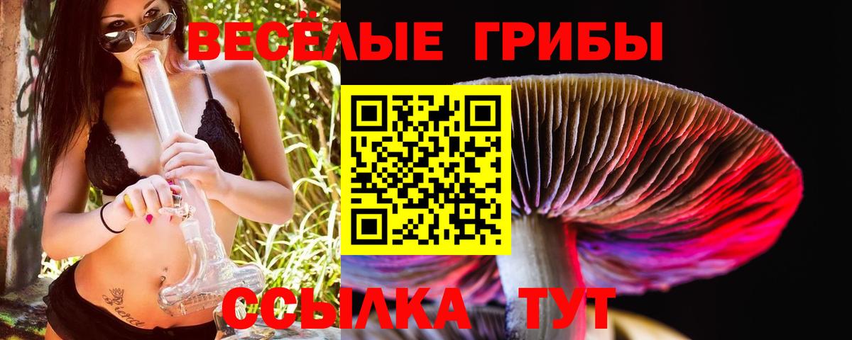 купить наркотик  Галлюциногенные грибы MAGIC MUSHROOMS  Вход с VPN  Лыткарино 